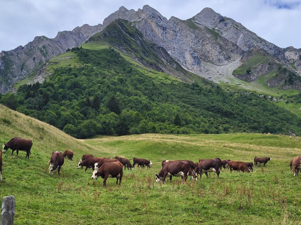 La Petite Anfiane Villa Le Grand-Bornand Buitenkant foto